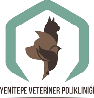 Yenitepe Veteriner Polikliniği logo