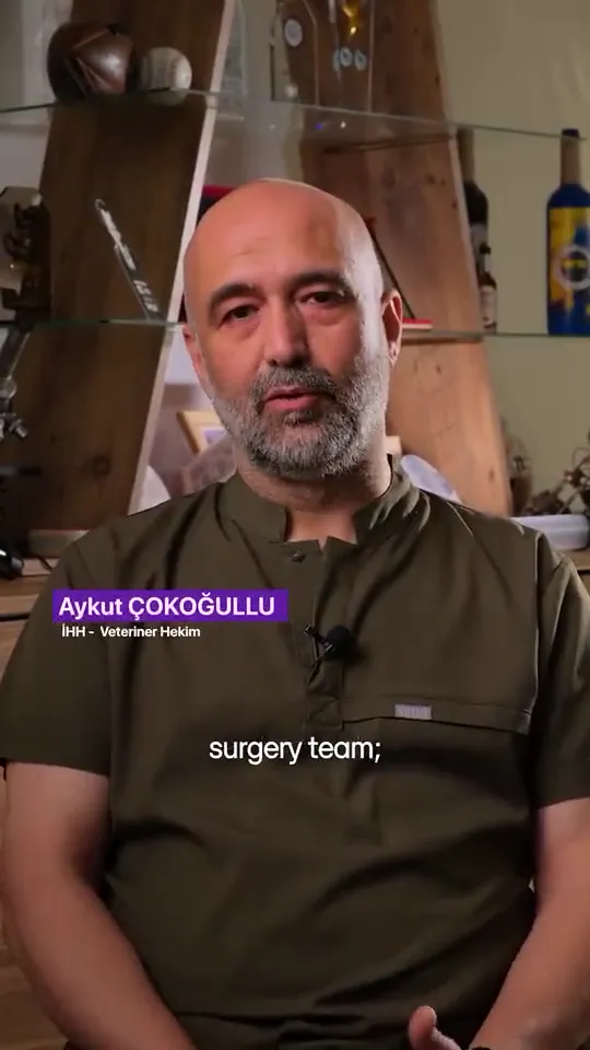 Aykut Çokoğullu, İHH