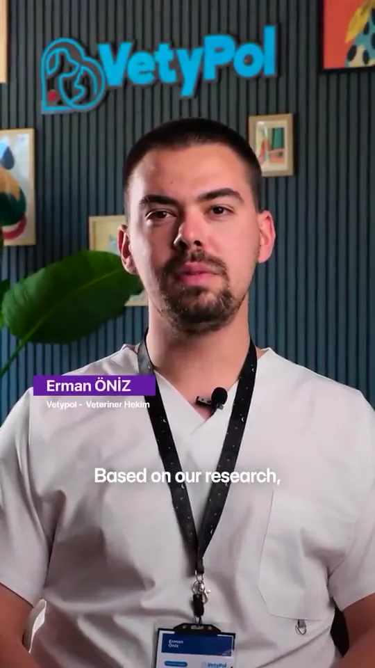 Erman Öniz, Vetypol