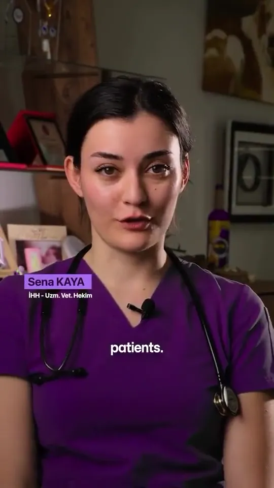 Sena Kaya, İHH